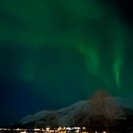 Storgalten Gjestehus Nord-Lenangen Exteriör bild